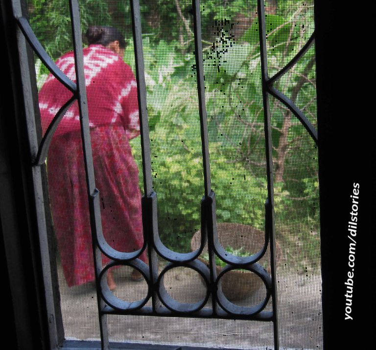 A woman in a red dress harvesting vegetables. Seen through a window.
