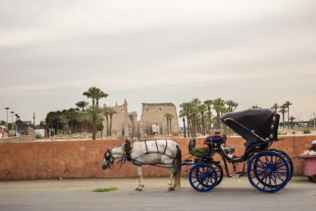 The picture of a hantour (horse carriage) outside Luxor Temple, waiting for tourists on a slow day.